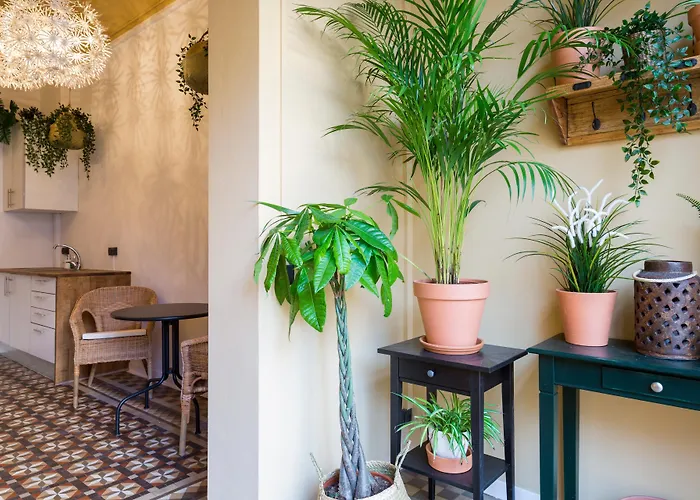 Casa Maca Guest House Barcelone